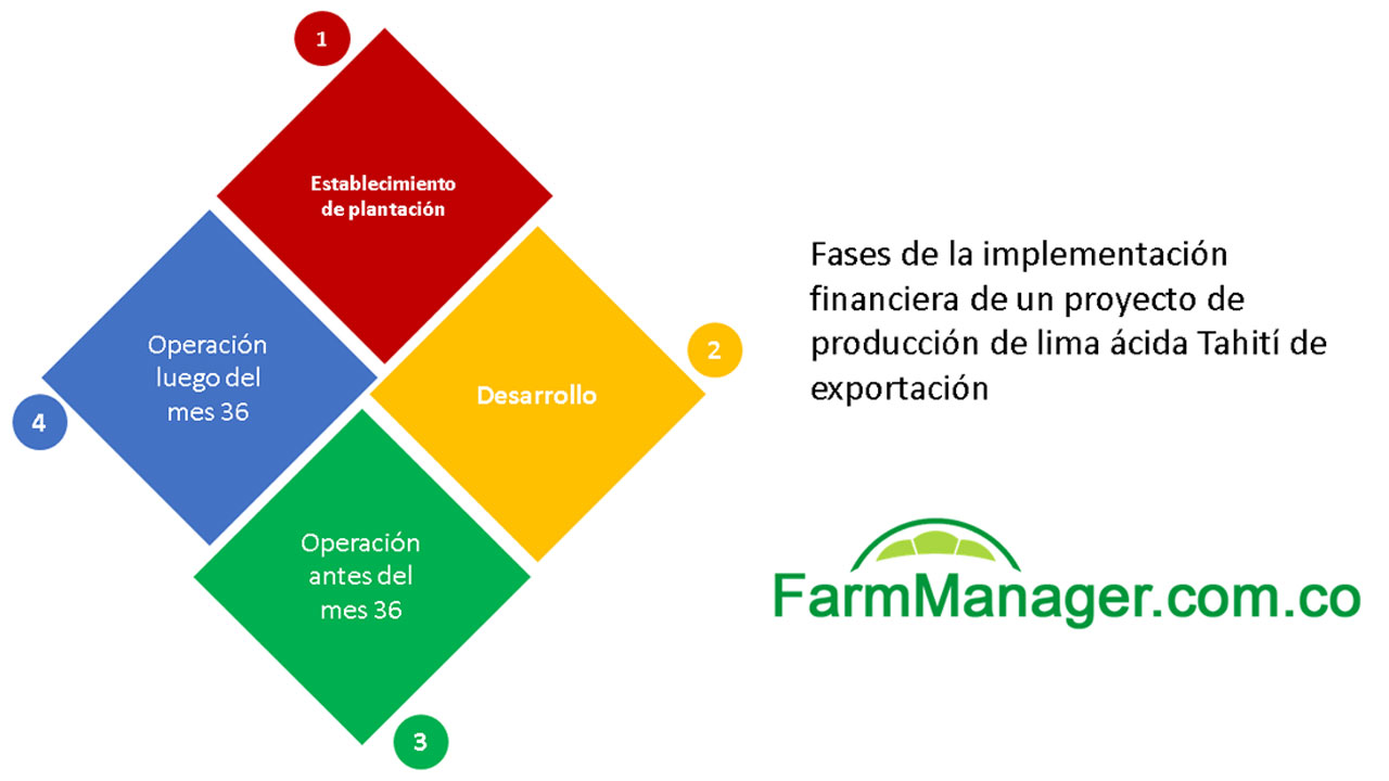 Sisdeagro SAS | La planificación financiera como clave del éxito para la exportación de lima Tahití en Colombia