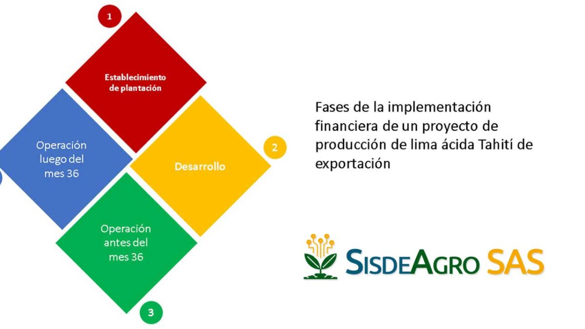 Sisdeagro SAS | La planificación financiera como clave del éxito para la exportación de lima Tahití en Colombia