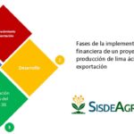 Sisdeagro SAS | La planificación financiera como clave del éxito para la exportación de lima Tahití en Colombia