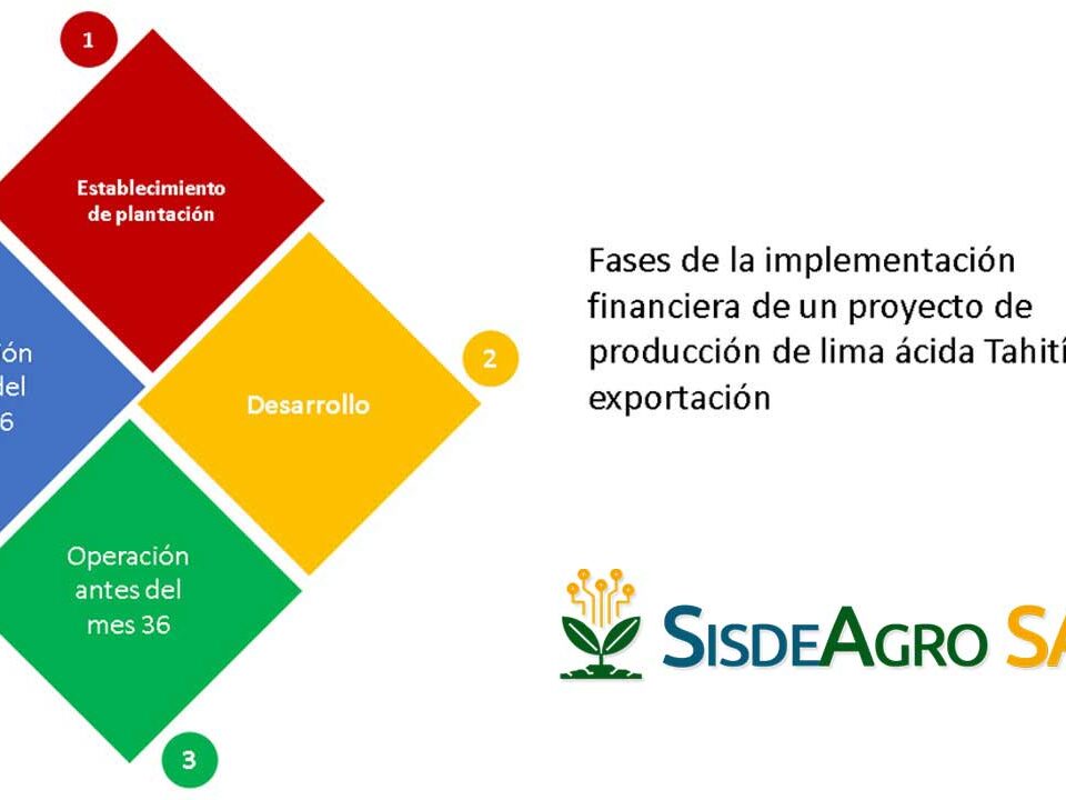 Sisdeagro SAS | La planificación financiera como clave del éxito para la exportación de lima Tahití en Colombia