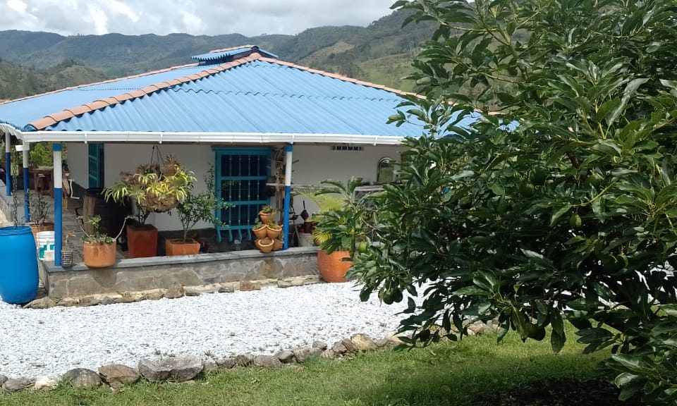 Sisdeagro SAS | Finca en venta en el Peñol, Antioquia
