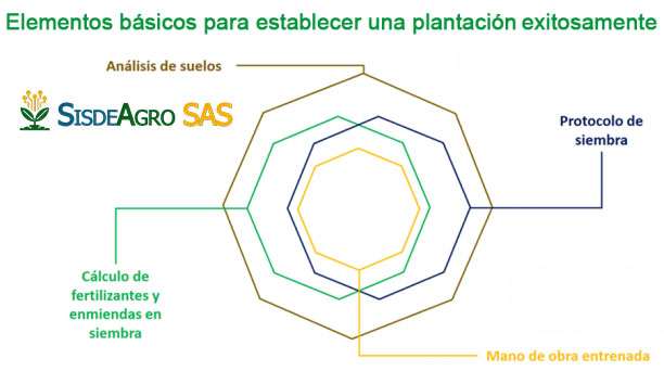 Elementos para el establecimiento de Plantaciones | Sisdeagro SAS Implementación de proyectos de inversión en Agricultura en Colombia
