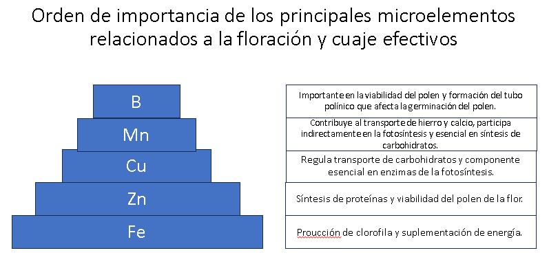 Orden de importancia de los microelementos en la Inducción floral eficiente en cultivos frutales | Sisdeagro SAS Implementación de proyectos de inversión en Agricultura en Colombia