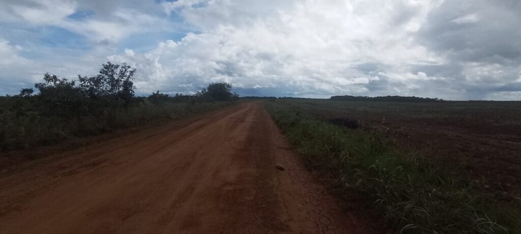 Los suelos de los Llanos Orientales| Sisdeagro SAS Implementación de Proyectos de Inversión en Agricultura para Colombia