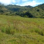 Sisdeagro SAS | Finca en venta en Concordia, Antioquia