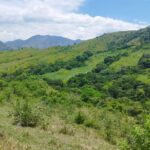 Sisdeagro SAS | Finca en venta en Concordia, Antioquia