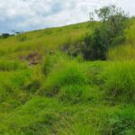 Sisdeagro SAS | Finca en venta en Concordia, Antioquia