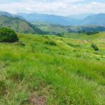 Sisdeagro SAS | Finca en venta en Concordia, Antioquia