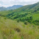 Sisdeagro SAS | Finca en venta en Concordia, Antioquia