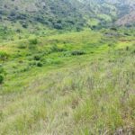 Sisdeagro SAS | Finca en venta en Concordia, Antioquia