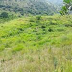 Sisdeagro SAS | Finca en venta en Concordia, Antioquia
