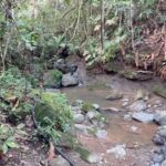 Sisdeagro SAS | Finca en venta en Concordia, Antioquia
