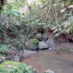 Sisdeagro SAS | Finca en venta en Concordia, Antioquia