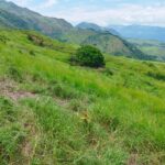 Sisdeagro SAS | Finca en venta en Concordia, Antioquia