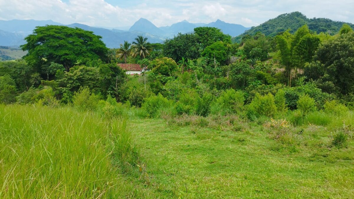 Sisdeagro SAS | Finca en venta en Concordia, Antioquia