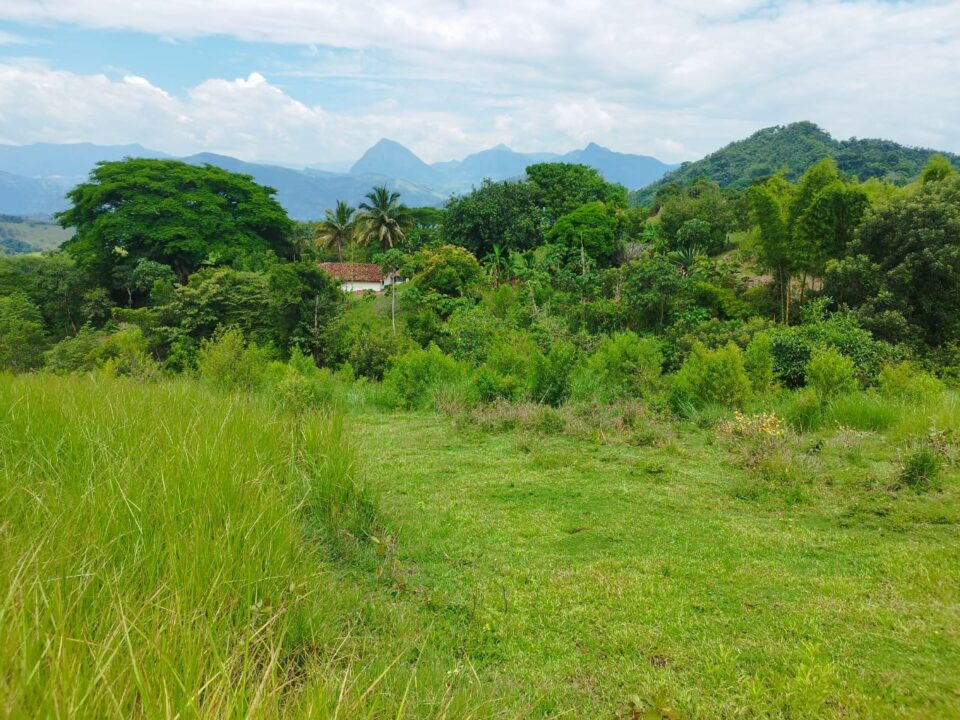 Sisdeagro SAS | Finca en venta en Concordia, Antioquia