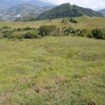 Sisdeagro SAS | Finca en venta en Concordia, Antioquia