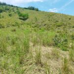 Sisdeagro SAS | Finca en venta en Concordia, Antioquia