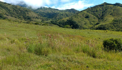 Sisdeagro SAS | Finca en venta en Concordia, Antioquia