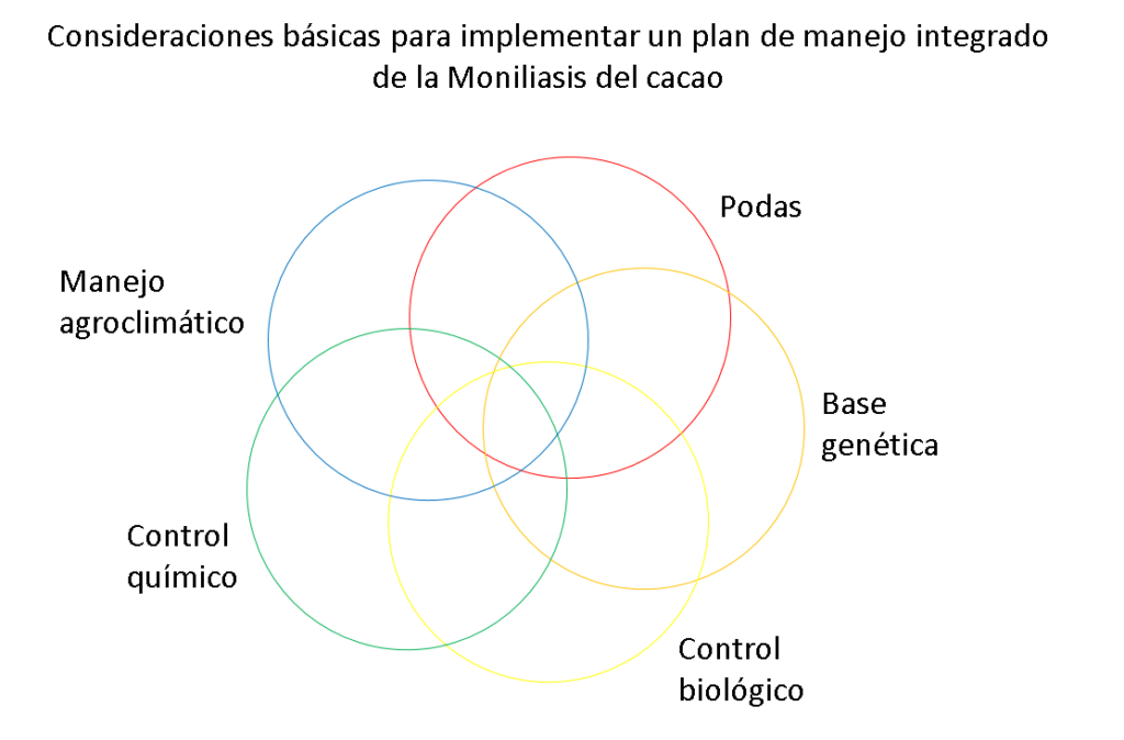 Sisdeagro SAS | Manejo integrado de la moniliasis en cacao - Parte I