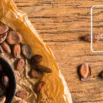 Sisdeagro SAS | Factores que influyen en la acumulación de cadmio en cacao y cómo controlarlos