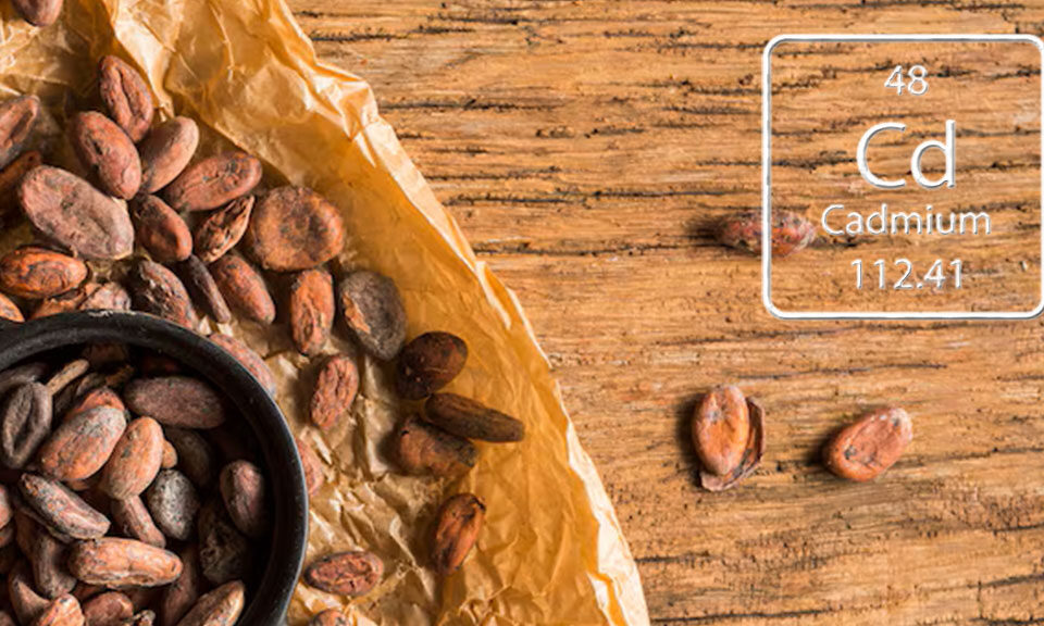 Sisdeagro SAS | Factores que influyen en la acumulación de cadmio en cacao y cómo controlarlos