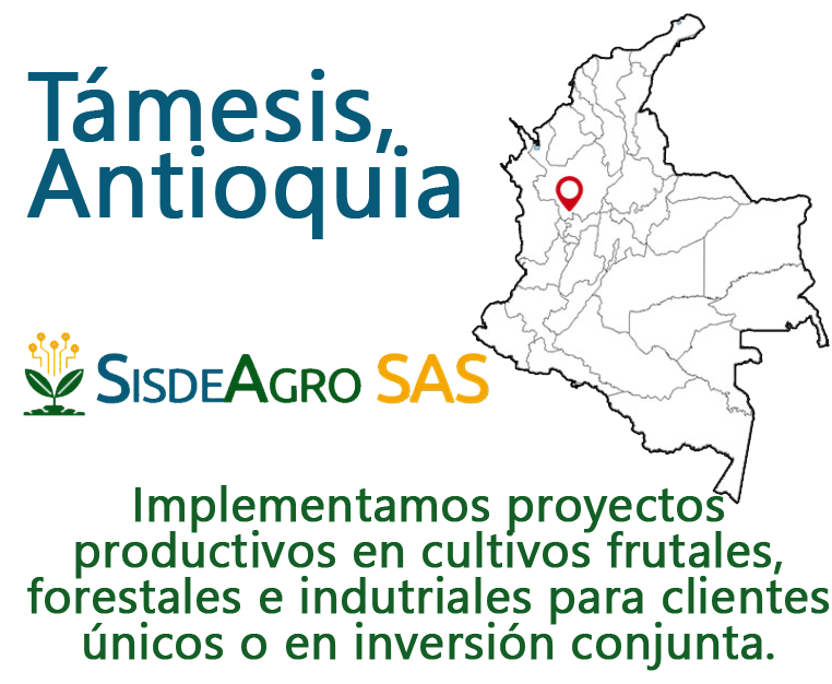 Sisdeagro SAS | Empresa dedica a la implementación de proyectos en cultivos frutales, industriales y forestales en Colombia