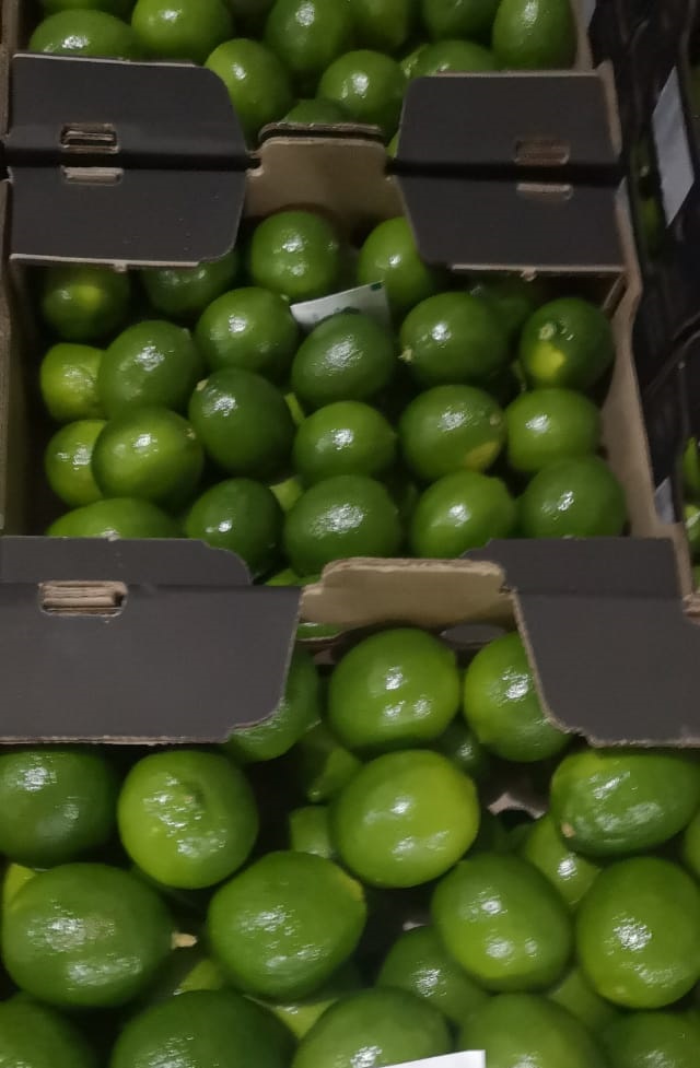 Sisdeagro SAS | Los microelementos y su papel en el estrés hídrico